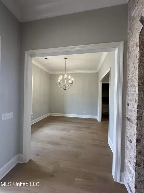 Other - 377 Wellstone Pl, Madison, MS 39110 photo 1 of 14