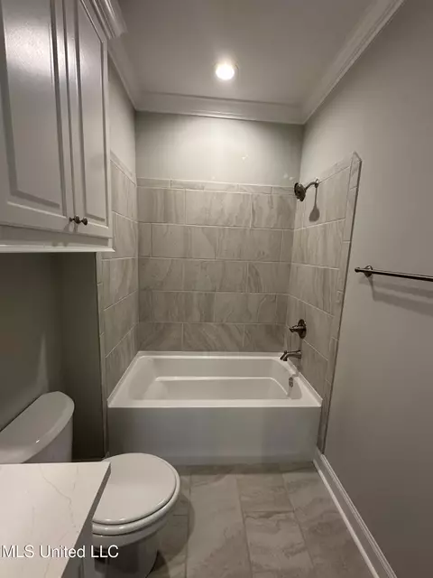 Bath - 377 Wellstone Pl, Madison, MS 39110 photo 5 of 7