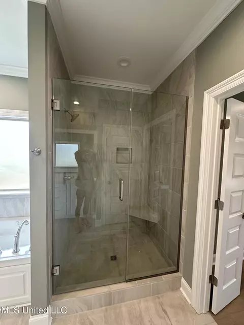 Bath - 377 Wellstone Pl, Madison, MS 39110 photo 2 of 7