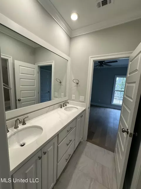 Bath - 377 Wellstone Pl, Madison, MS 39110 photo 6 of 7