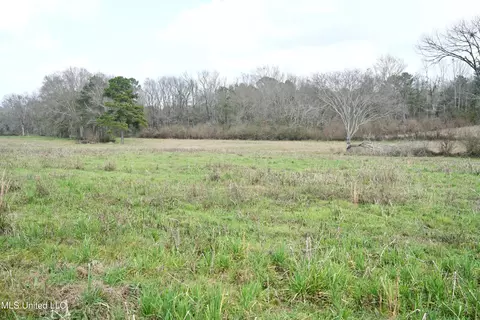 Farmer Road, Smithdale, MS 39664 photo 14