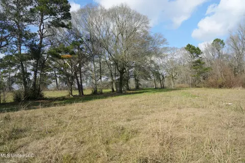 Farmer Road, Smithdale, MS 39664 photo 21