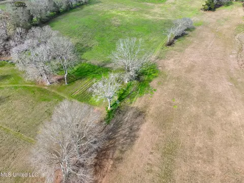 Farmer Road, Smithdale, MS 39664 photo 9