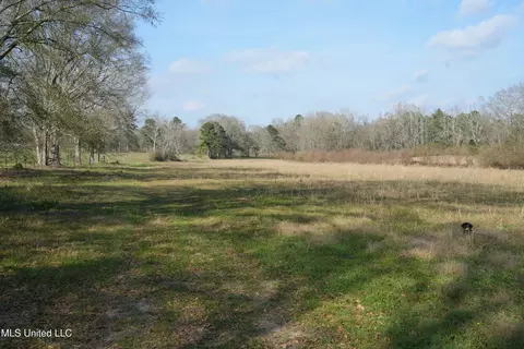 Farmer Road, Smithdale, MS 39664 photo 23