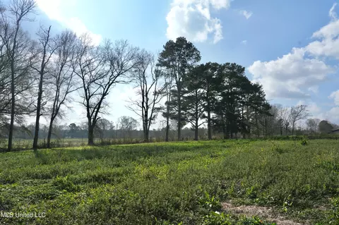 Farmer Road, Smithdale, MS 39664 photo 20