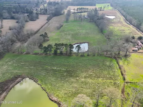 Farmer Road, Smithdale, MS 39664 photo 6