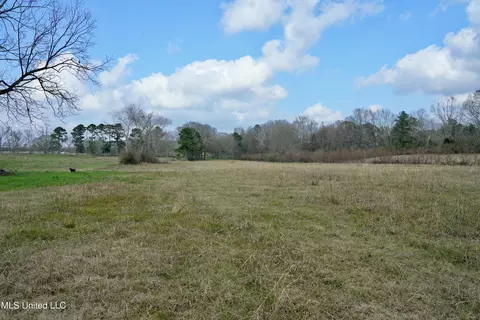 Farmer Road, Smithdale, MS 39664 photo 8