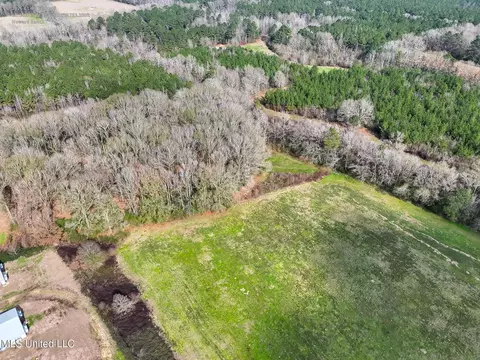 Farmer Road, Smithdale, MS 39664 photo 5