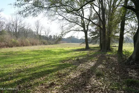Farmer Road, Smithdale, MS 39664 photo 3