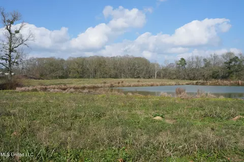 Farmer Road, Smithdale, MS 39664 photo 17