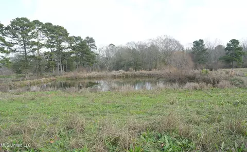 Farmer Road, Smithdale, MS 39664 photo 15