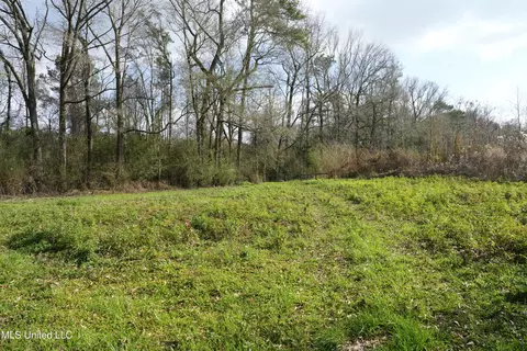 Farmer Road, Smithdale, MS 39664 photo 19
