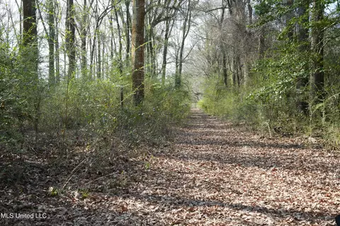 Farmer Road, Smithdale, MS 39664 photo 18