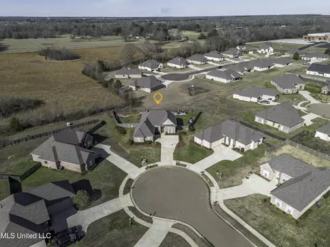 View/Area - 104 Leah Cv, Canton, MS 39046 photo 6 of 7