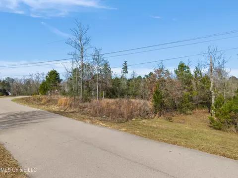 10 Crossbuck Rd, Sumrall, MS 39482 photo 3