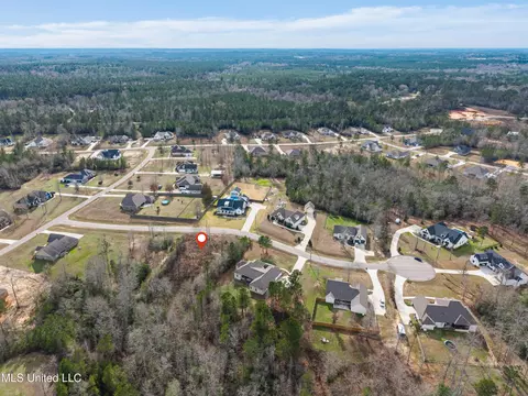 10 Crossbuck Rd, Sumrall, MS 39482 photo 6