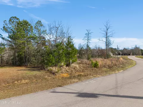 10 Crossbuck Rd, Sumrall, MS 39482 photo 2
