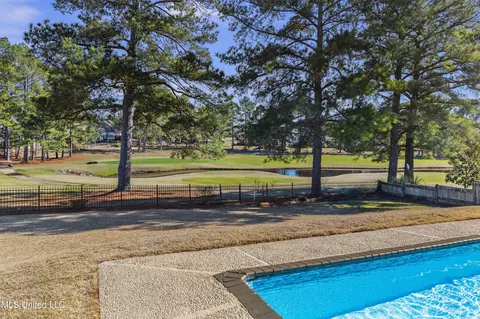 Other - 232 Greensview Dr, Brandon, MS 39047 photo 51 of 65