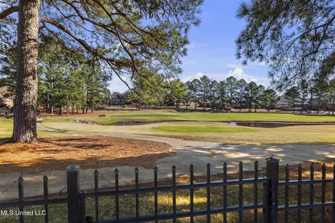 Other - 232 Greensview Dr, Brandon, MS 39047 photo 55 of 65