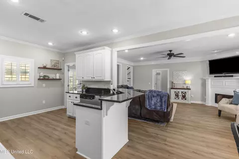 Other - 232 Greensview Dr, Brandon, MS 39047 photo 19 of 65