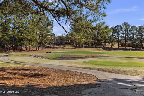 Other - 232 Greensview Dr, Brandon, MS 39047 photo 56 of 65