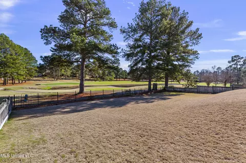 Other - 232 Greensview Dr, Brandon, MS 39047 photo 52 of 65