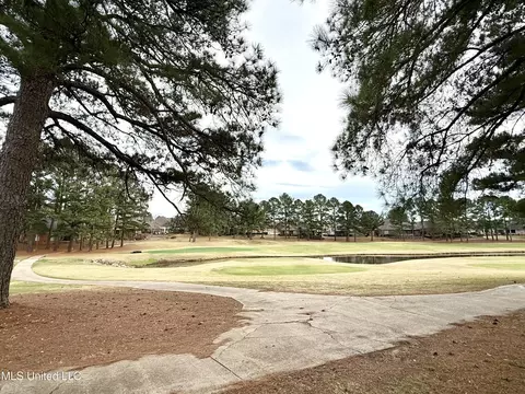 Other - 232 Greensview Dr, Brandon, MS 39047 photo 41 of 65