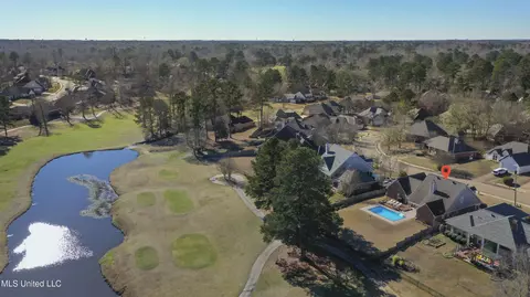 Other - 232 Greensview Dr, Brandon, MS 39047 photo 64 of 65