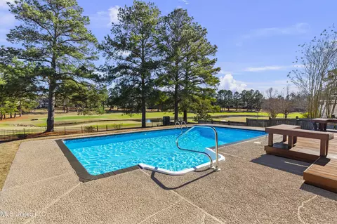 Other - 232 Greensview Dr, Brandon, MS 39047 photo 50 of 65