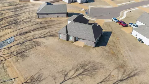 View/Area - 1802 Millers Cv, Nesbit, MS 38651 photo 2 of 5