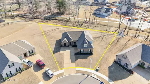 View/Area - 1802 Millers Cv, Nesbit, MS 38651 photo 3 of 5
