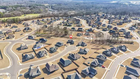 View/Area - 1802 Millers Cv, Nesbit, MS 38651 photo 5 of 5
