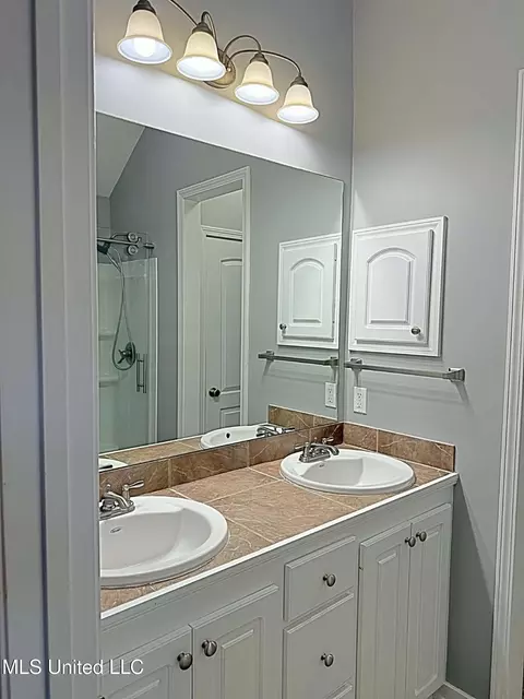 Bath - 331 Azalea Ct, Brandon, MS 39047 photo 1 of 3