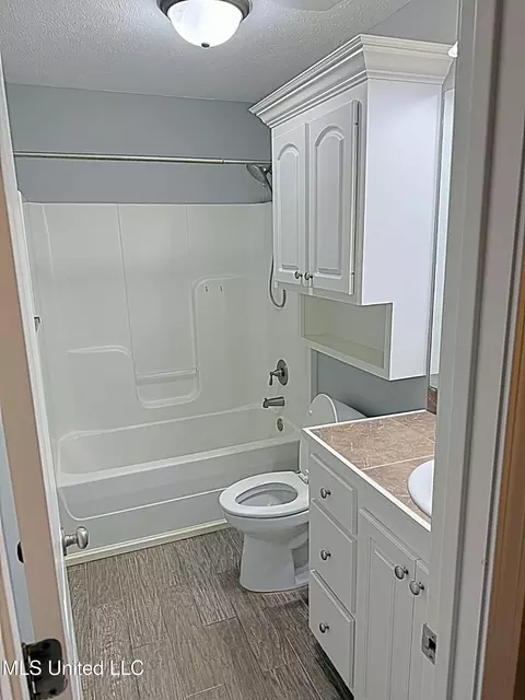 Bath - 331 Azalea Ct, Brandon, MS 39047 photo 3 of 3