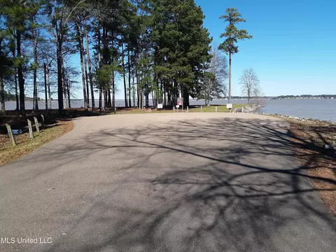 111 Holly Trl, Brandon, MS 39047 photo 6