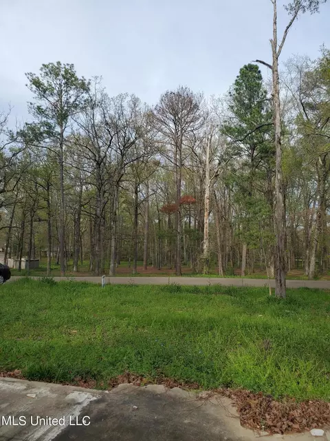 111 Holly Trl, Brandon, MS 39047