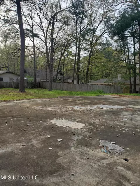 111 Holly Trl, Brandon, MS 39047 photo 4