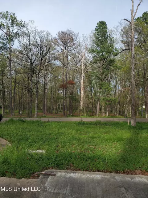 111 Holly Trl, Brandon, MS 39047 photo 2