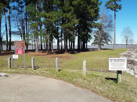 111 Holly Trl, Brandon, MS 39047 photo 7