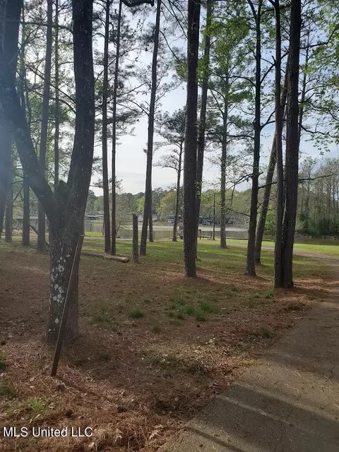 111 Holly Trl, Brandon, MS 39047 photo 8