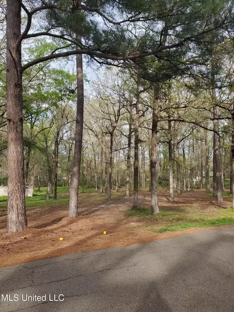 111 Holly Trl, Brandon, MS 39047 photo 5