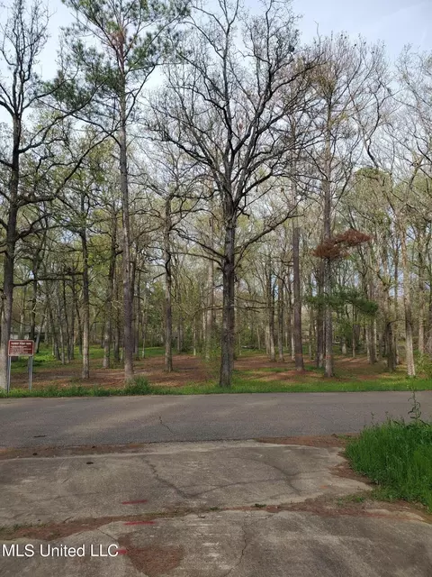 111 Holly Trl, Brandon, MS 39047 photo 3