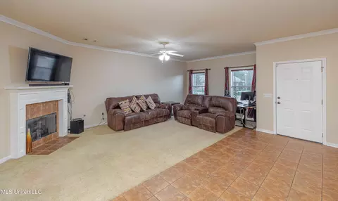Living - 101 Stapleton Dr, Canton, MS 39046 photo 1 of 2