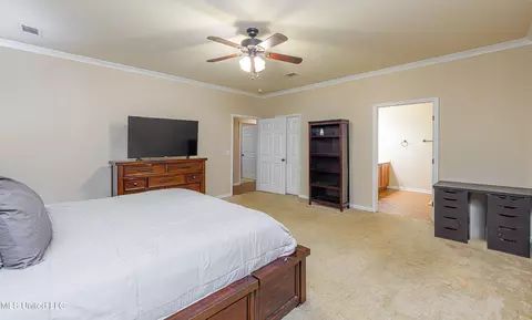 Bedroom - 101 Stapleton Dr, Canton, MS 39046 photo 6 of 6