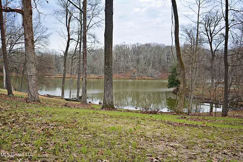 5360 Sportsman Dr, Nesbit, MS 38651
