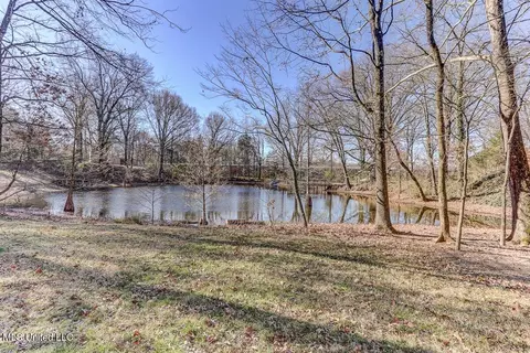 8237 Windersgate Dr, Olive Branch, MS 38654 photo 43