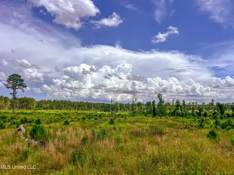 Graves Chapel Road, Liberty, MS 39645