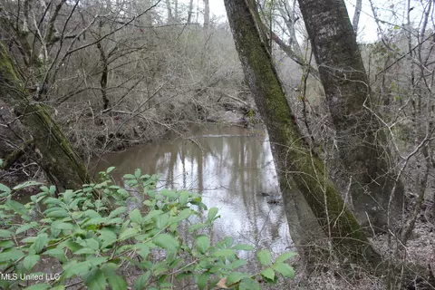 SW Big Creek Drive, Bogue Chitto, MS 39629