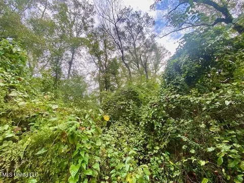 Dogwood Trail, Mccomb, MS 39648 photo 4