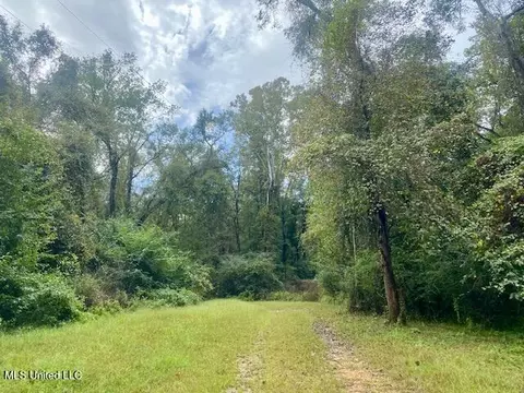 Dogwood Trail, Mccomb, MS 39648 photo 5
